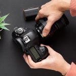 Nikon or Canon A Dilemma That Creates Discord